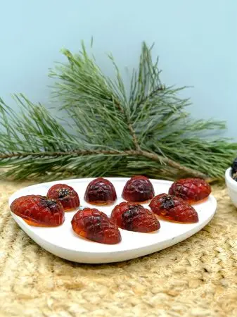 Мармелад с сосновой шишкой, 110 гр